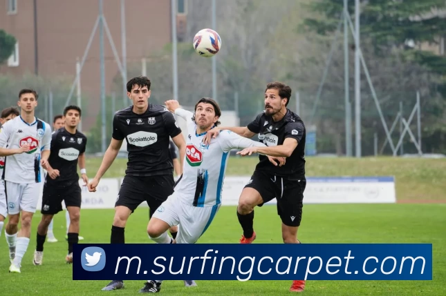 谈球吧全站App